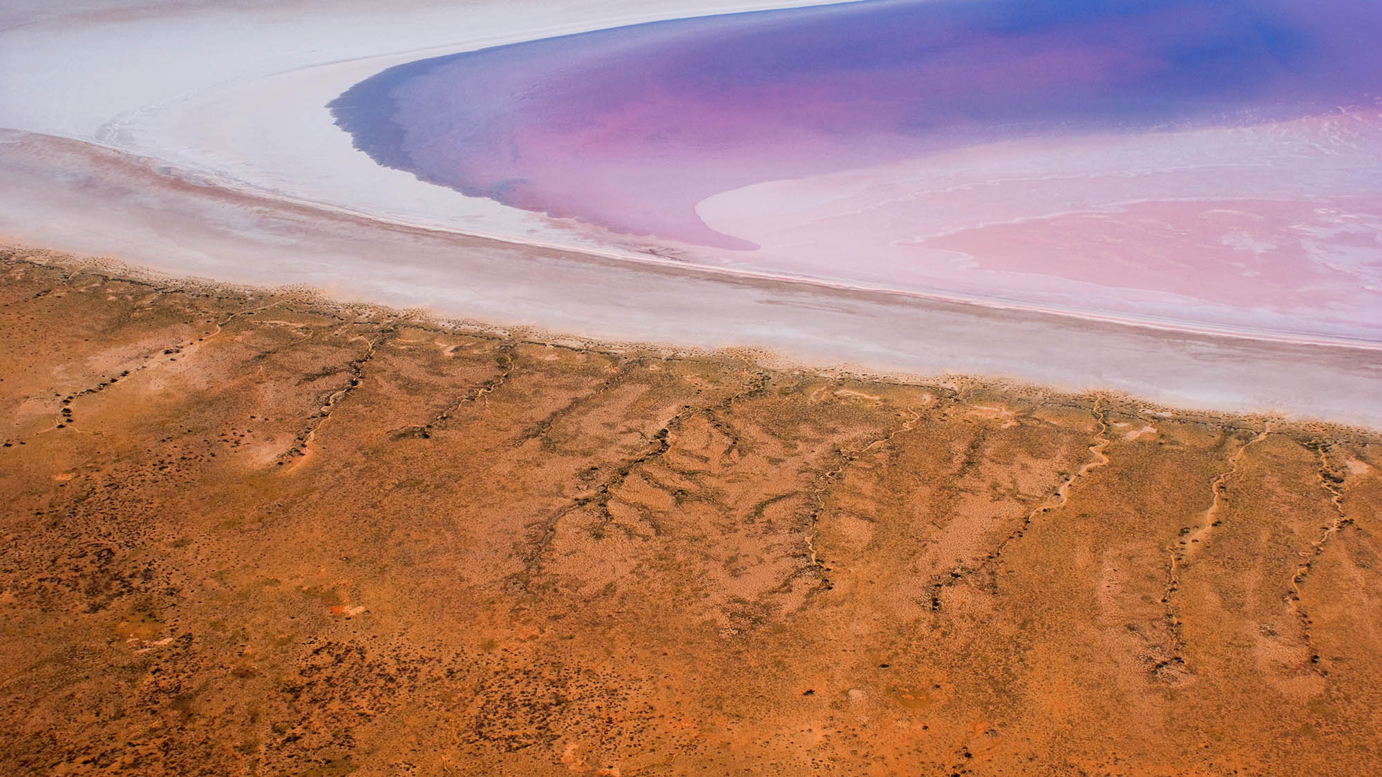Scenic Lake Eyre and Birdsville by Private Aircraft